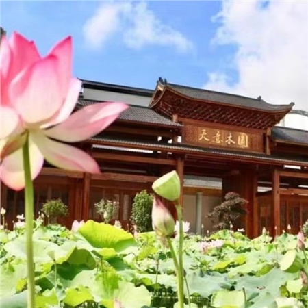 益陽天意木國木文化博物館、金家堤、一碑五館一日游