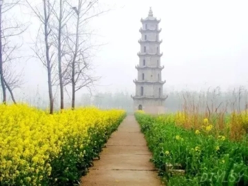 春暖花開(kāi)南洞庭踏青、云夢(mèng)七色花洲一日游  