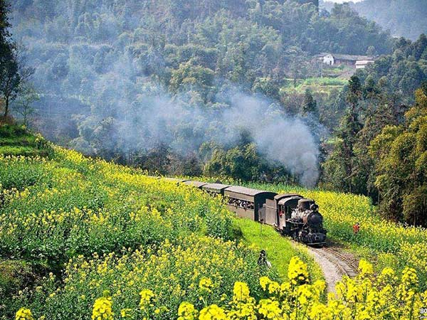 花海與小火車的搭配 來(lái)這幾個(gè)地方賞春色